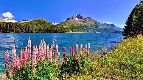 Am Silsersee im Engadin
© suteracher - stock.adobe.com, GLOBALIS