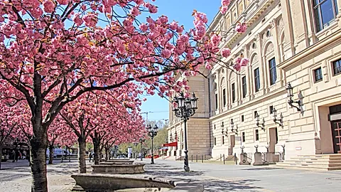 Frühling an der alten Oper in Frankfurt © Schlierner - stock.adobe.com