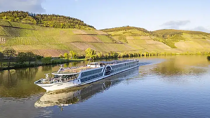 MS AMADEUS Elegant