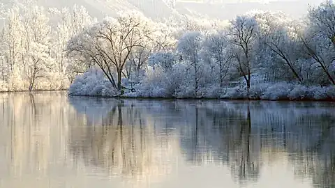 Winter entlang der Mosel
© Philipp Bohn - stock.adobe.com, GLOBALIS