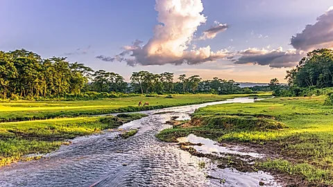 Im Chitwan-Nationalpark
© rpbmedia - stock.adobe.com, GLOBALIS