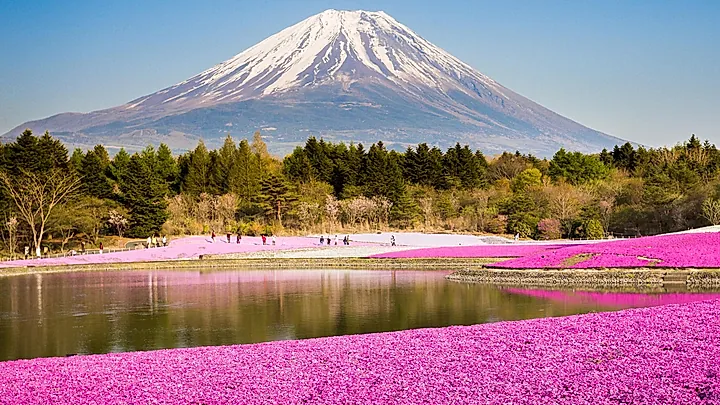 Der Sensō-ji Tempel © munduuk - stock.adobe.com